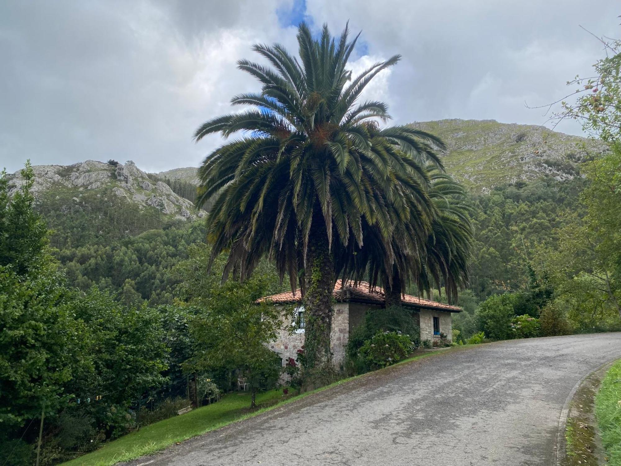 Casa Estilo Rural Con Jardin Entre Playa Y Montana Villa Caravia Buitenkant foto